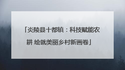 炎陵县十都镇：科技赋能农耕 绘就美丽乡村新画卷
