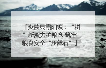 炎陵县霞阳镇：“耕”新聚力护粮仓 筑牢粮食安全“压舱石”