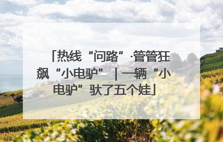 热线“问路”·管管狂飙“小电驴”｜一辆“小电驴”驮了五个娃
