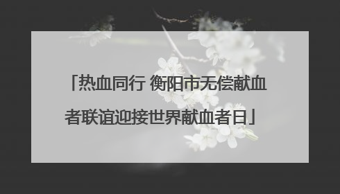热血同行 衡阳市无偿献血者联谊迎接世界献血者日