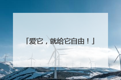 爱它，就给它自由！