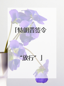 特朗普签令“放行”