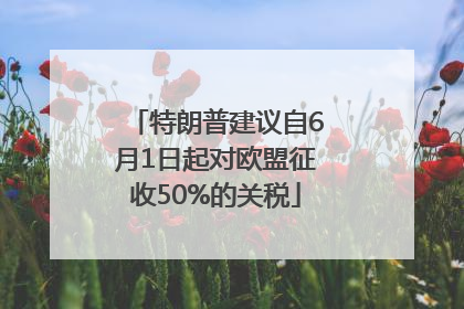 特朗普建议自6月1日起对欧盟征收50%的关税