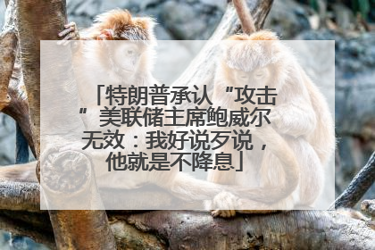特朗普承认“攻击”美联储主席鲍威尔无效：我好说歹说，他就是不降息