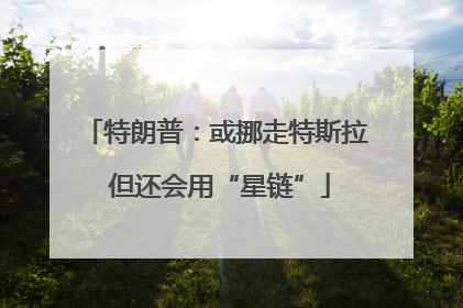 特朗普：或挪走特斯拉 但还会用“星链”