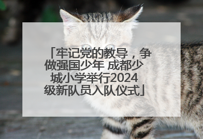 牢记党的教导，争做强国少年 成都少城小学举行2024级新队员入队仪式