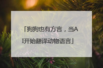 狗狗也有方言，当AI开始翻译动物语言