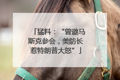 猛料：“曾邀马斯克参会，美防长惹特朗普大怒”