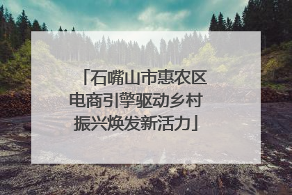 石嘴山市惠农区电商引擎驱动乡村振兴焕发新活力