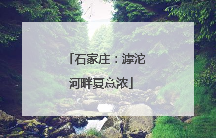石家庄：滹沱河畔夏意浓