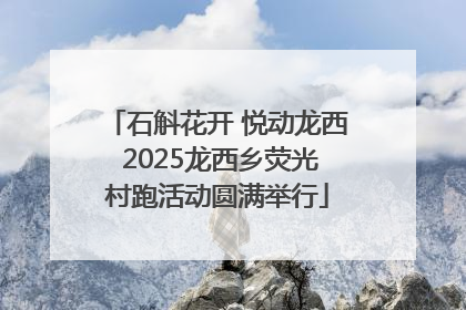 石斛花开 悦动龙西 2025龙西乡荧光村跑活动圆满举行