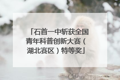 石首一中斩获全国青年科普创新大赛（湖北赛区）特等奖