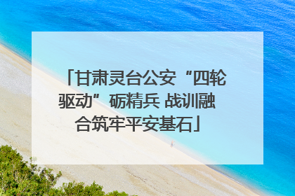 甘肃灵台公安“四轮驱动”砺精兵 战训融合筑牢平安基石