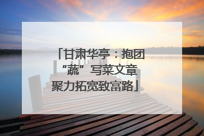 甘肃华亭：抱团“蔬”写菜文章 聚力拓宽致富路