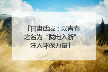甘肃武威：以青春之名为“陇电入浙”注入环保力量
