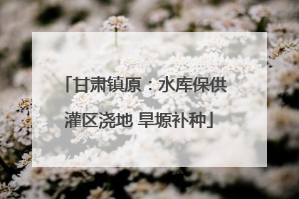 甘肃镇原：水库保供 灌区浇地 旱塬补种