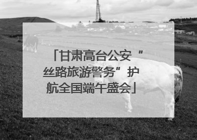 甘肃高台公安“丝路旅游警务”护航全国端午盛会