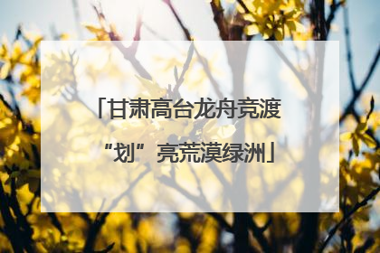 甘肃高台龙舟竞渡“划”亮荒漠绿洲