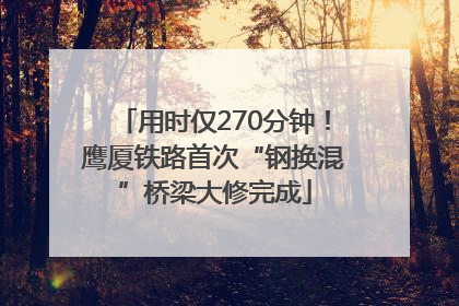 用时仅270分钟！鹰厦铁路首次“钢换混”桥梁大修完成