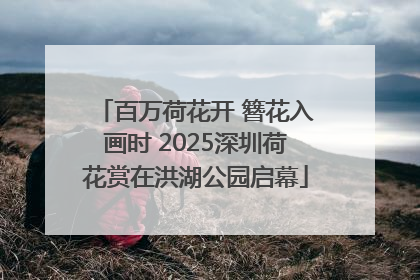 百万荷花开 簪花入画时 2025深圳荷花赏在洪湖公园启幕