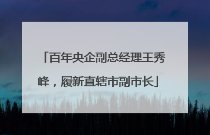 百年央企副总经理王秀峰，履新直辖市副市长