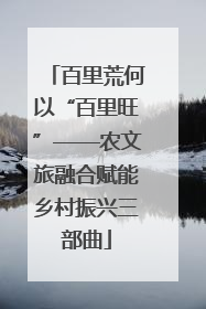 百里荒何以“百里旺”——农文旅融合赋能乡村振兴三部曲