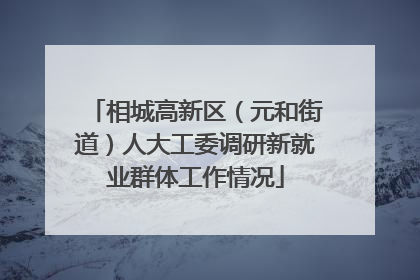 相城高新区（元和街道）人大工委调研新就业群体工作情况