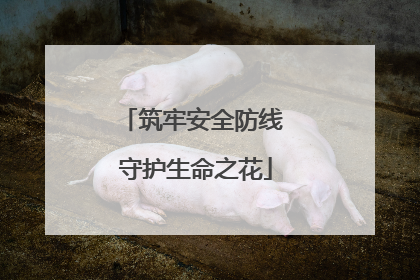 筑牢安全防线 守护生命之花