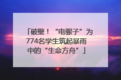 破壁！“电骡子”为774名学生筑起暴雨中的“生命方舟”