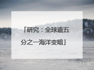 研究：全球逾五分之一海洋变暗