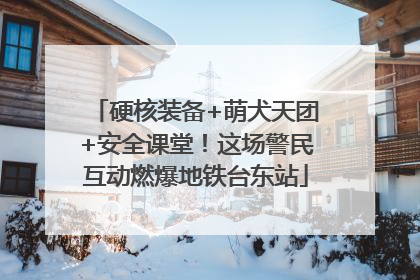 硬核装备+萌犬天团+安全课堂！这场警民互动燃爆地铁台东站