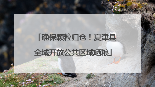 确保颗粒归仓！夏津县全域开放公共区域晒粮