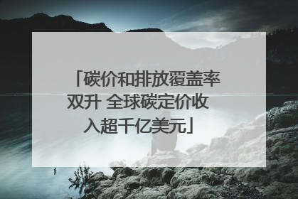 碳价和排放覆盖率双升 全球碳定价收入超千亿美元