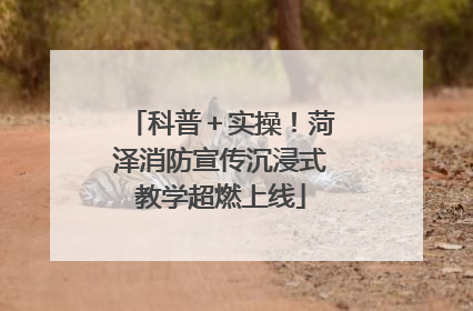 科普＋实操！菏泽消防宣传沉浸式教学超燃上线