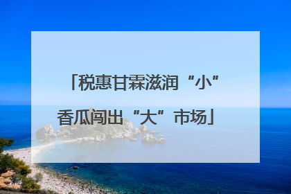 税惠甘霖滋润“小”香瓜闯出“大”市场