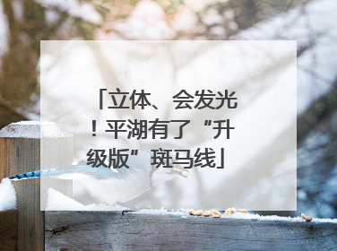 立体、会发光！平湖有了“升级版”斑马线