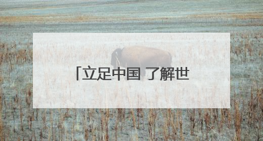 立足中国 了解世界（学创天地）
