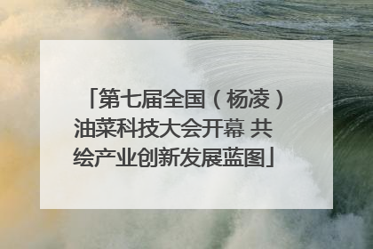 第七届全国（杨凌）油菜科技大会开幕 共绘产业创新发展蓝图