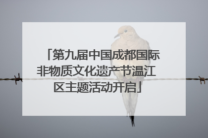 第九届中国成都国际非物质文化遗产节温江区主题活动开启