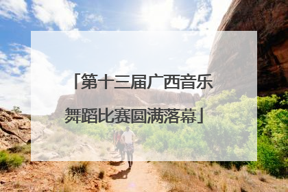 第十三届广西音乐舞蹈比赛圆满落幕