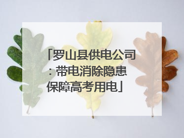 罗山县供电公司：带电消除隐患 保障高考用电