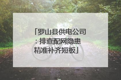 罗山县供电公司：排查配网隐患 精准补齐短板