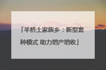 羊桥土家族乡：新型套种模式 助力增产增收