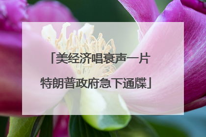 美经济唱衰声一片 特朗普政府急下通牒