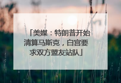 美媒：特朗普开始清算马斯克，白宫要求双方盟友站队