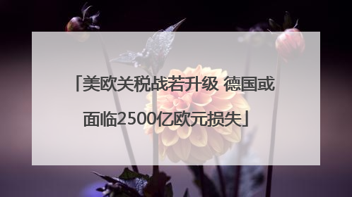 美欧关税战若升级 德国或面临2500亿欧元损失