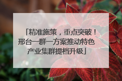 精准施策，重点突破！邢台一群一方案推动特色产业集群提档升级