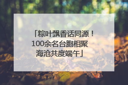 粽叶飘香话同源！100余名台胞相聚海沧共度端午