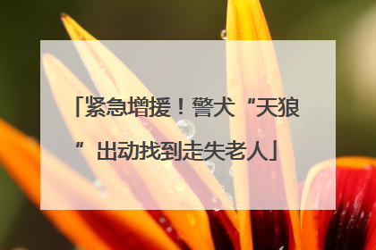 紧急增援！警犬“天狼”出动找到走失老人