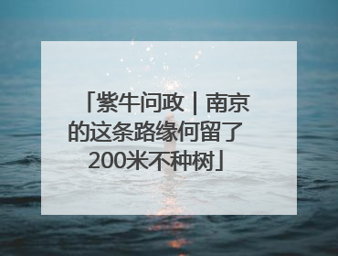 紫牛问政｜南京的这条路缘何留了200米不种树